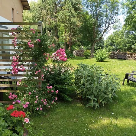 Apartment La Ventanita Del Campo