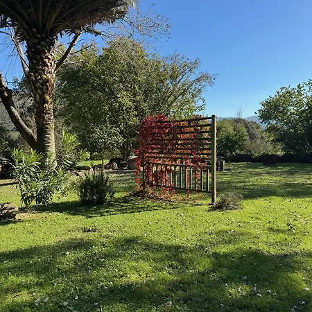 La Ventanita Del Campo Apartment *