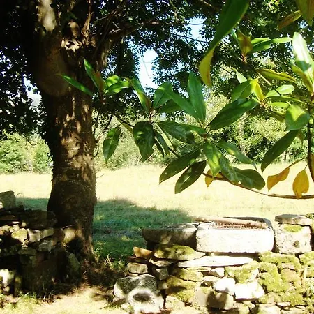 Daire La Ventanita Del Campo