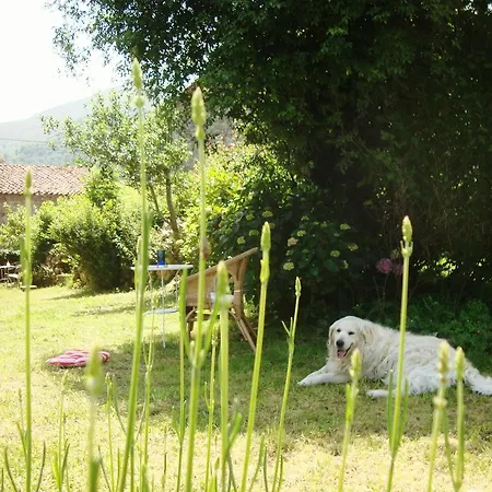 La Ventanita Del Campo La Cavada