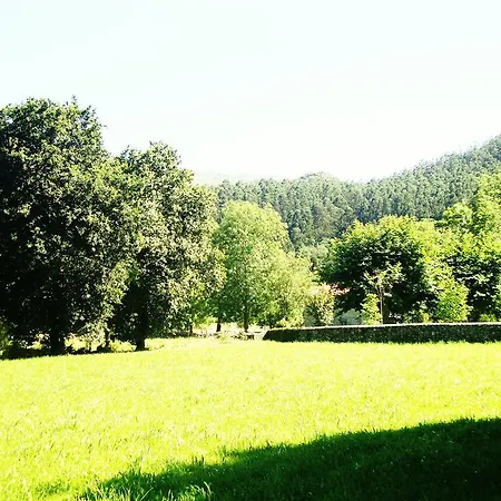 La Ventanita Del Campo