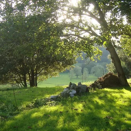Daire La Ventanita Del Campo La Cavada