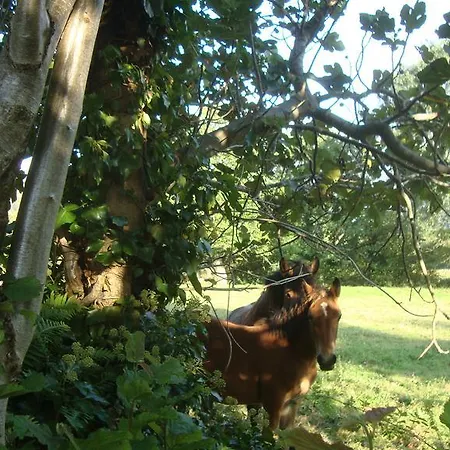 La Ventanita Del Campo 아파트 *