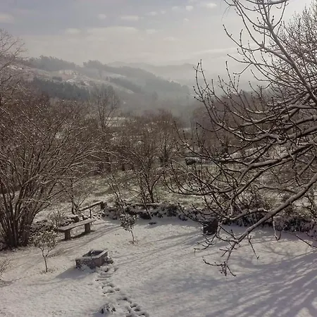 Daire La Ventanita Del Campo