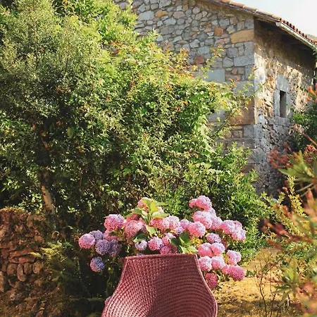 La Ventanita Del Campo