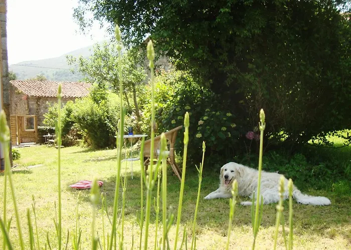 La Ventanita Del Campo La Cavada