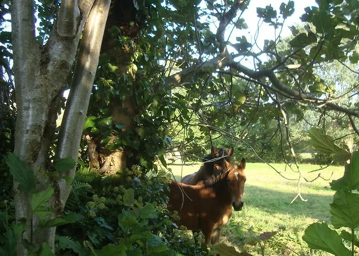 La Ventanita Del Campo Lägenhet *