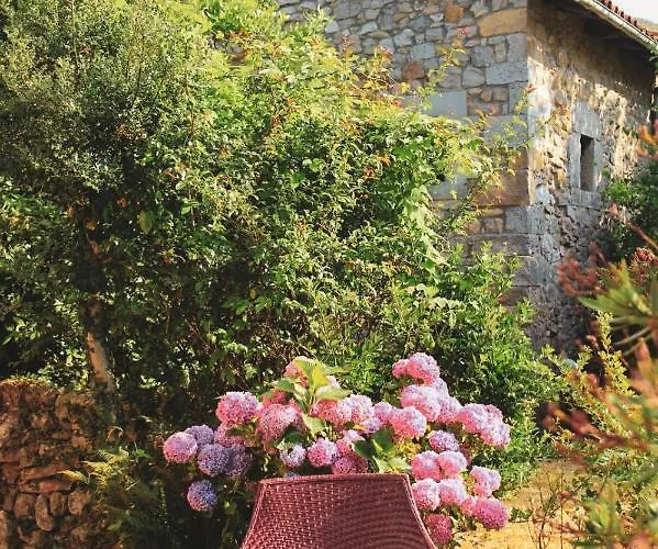 La Ventanita Del Campo